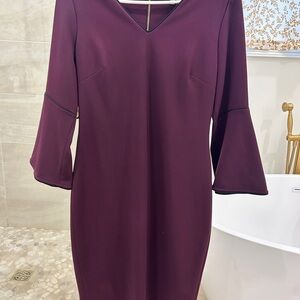 Elegant Calvin Klein Plum Dress